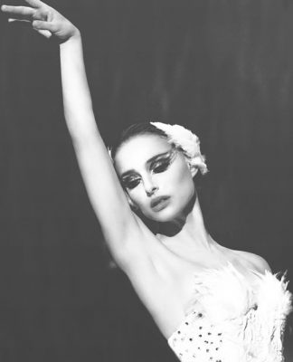 Be The Beautiful Black Swan Of The Night