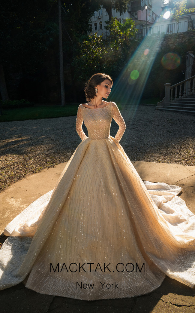Dovita Bridal Leo Dress From Zodiac Collection
