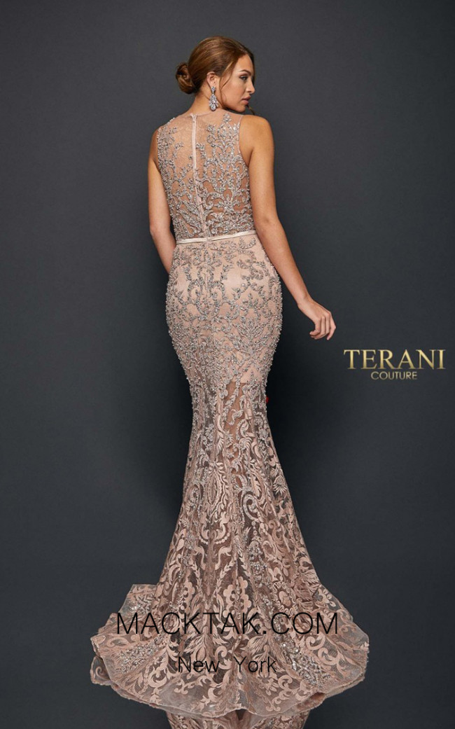 Terani Evenings Dress 251E4257