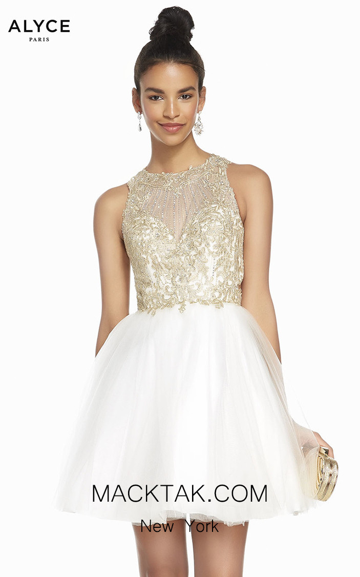 Alyce Paris 1487 Front Dress