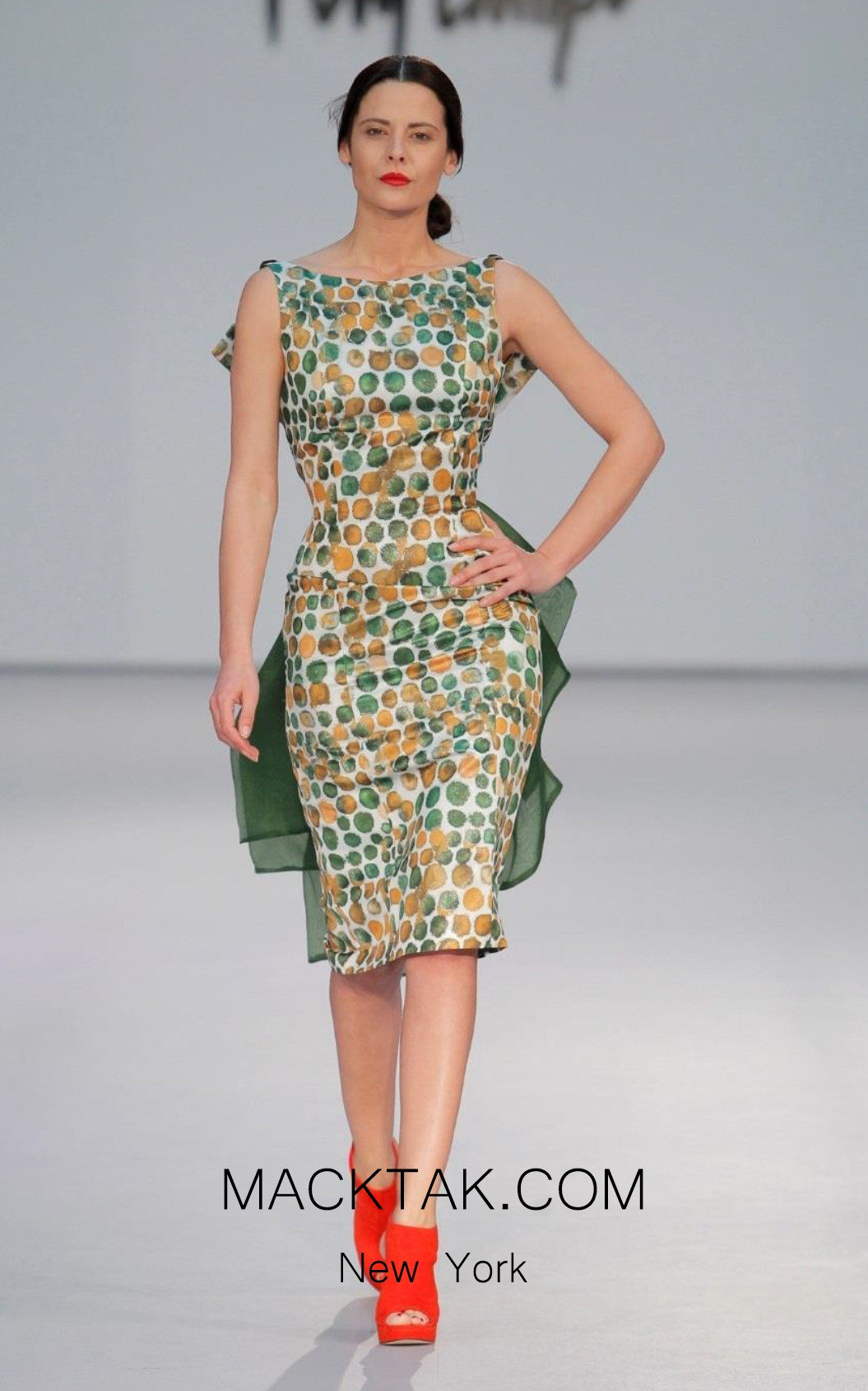 Fely Campo 17119 Front Dress
