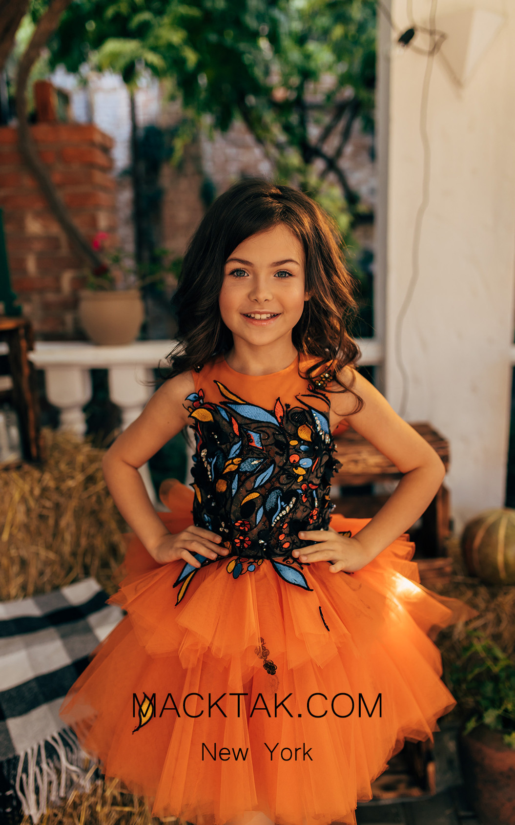 Pollardi 2035 Orange Front Dress
