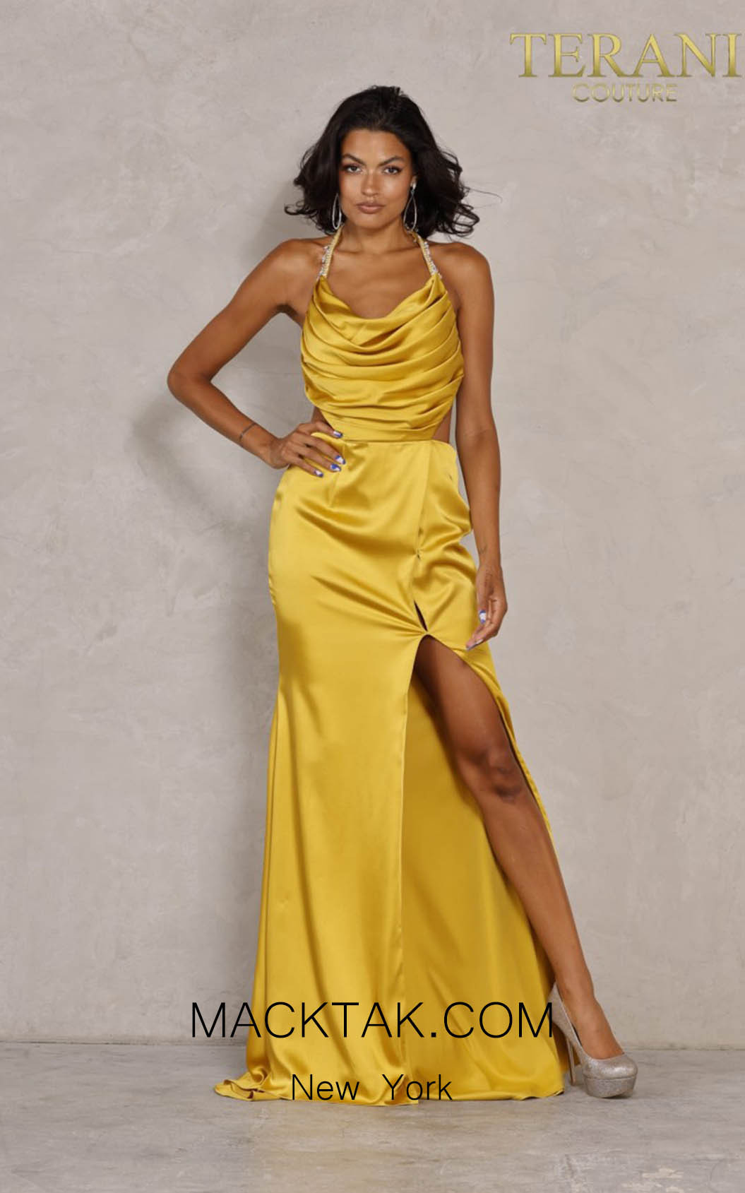 Terani 2111P4201 Dress