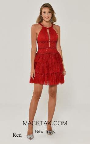 Kameliya Evening Dress