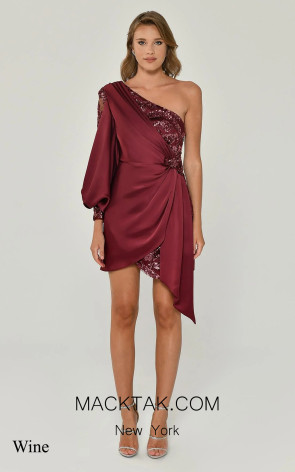 Catherine Wine Front Dress
