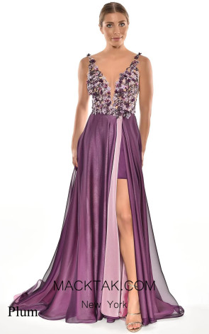 Claudine Plum Front Dress