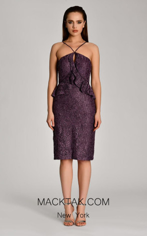 Elaina Purple Front Dress