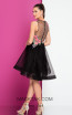 Terani 1721H4517 Black Multi Back Evening Dress