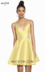 Alyce Paris 1454 Yellow Front Dress
