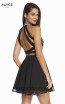 Alyce Paris 1490 Back Dress