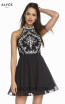 Alyce Paris 1490 Front Dress