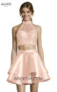 Alyce Paris 3735 Blush Front Dress