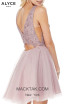 Alyce Paris 3801 Back Dress