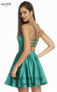 Alyce Paris 3878 Emerald Back Dress