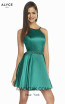 Alyce Paris 3878 Emerald Front Dress