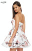 Alyce Paris 3894 Back Dress