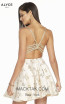 Alyce Paris 3899 Back Dress