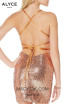 Alyce Paris 4057 Back Dress
