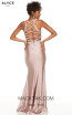 Alyce Paris 60771 Cashmere Rose Back Dress