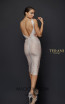 Terani Couture_1921C0011 Blush Silver Back Dress