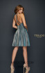 Terani Couture 1921H0336 Back Dress