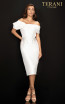 Terani 2011C2009 Ivory Front Dress