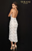 Terani 2011C2013 Ivory Silver Back Dress