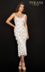 Terani 2011C2013 Ivory Silver Front Dress
