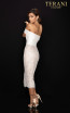 Terani 2011C2017 Ivory Nude Back Dress
