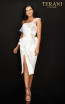 Terani 2011C2020 Ivory Front Dress