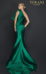 Terani Couture 2011E2044 Back Dress
