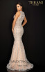 Terani 2012P1285 Silver Nude Back Dress