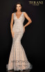 Terani 2012P1285 Silver Nude Front Dress