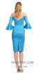 Theia Couture 883741 Azure Back Dress