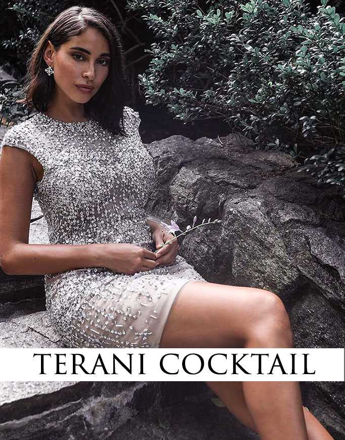 Terani Prom Dresses | Prom Gowns 2023 + Sale prices