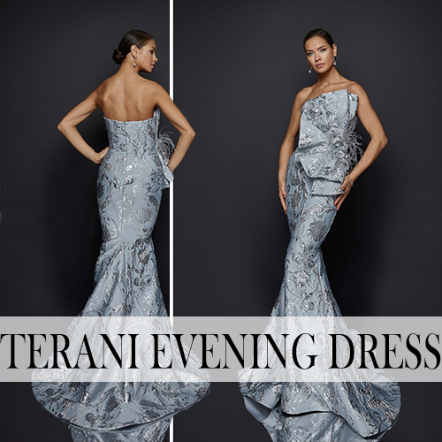 terani couture_Evening